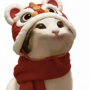 青蛙公主爱吃开心果