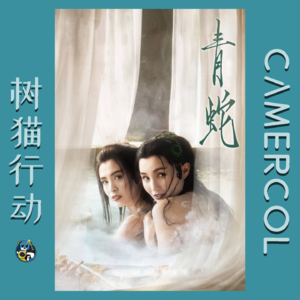 Vol.18『青蛇』老电影的修复标准该由谁来制定？