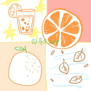41. Kpop/秋日柑橘茶🍂🍊