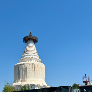 25 - 北京初秋 留子回国