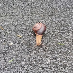 06-23 疲れ過ぎると