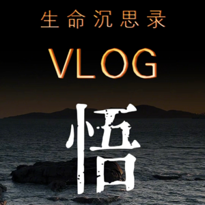 生命沉思录丨悟