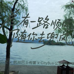 Vol.129 “宁静的夏天，天空中繁星点点”