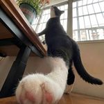保护眼睛用耳听