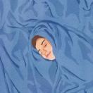 毛毛桃子
