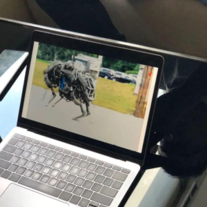 苹果研究人员质疑AI的推理能力 目前的AI到底是背出了答案 还是推理出了答案?