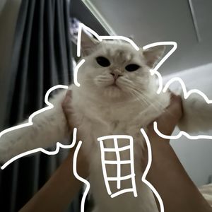 爱晒太阳的小二