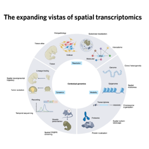 137-The Expanding Vistas of Spatial Transcriptomics