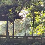 热风坟