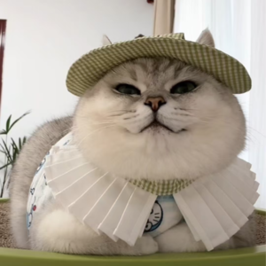 资本市场舆情解读【11月11日】