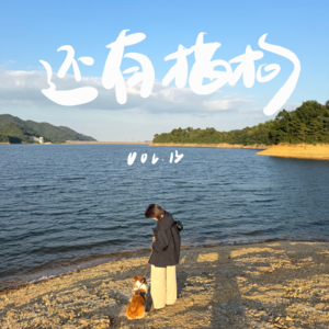 13 越长大越觉得,幸福的奥义是平静度过每一天:假日精选