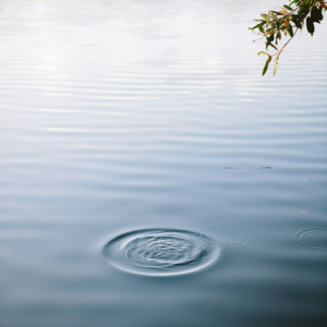 004 拖延症患者自救指南 | 一档播客是如何诞生的