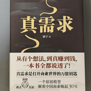 梁宁的著作《真需求》：商业思维的探索者