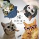 猫2 - 优斯迪吧 Vol.65