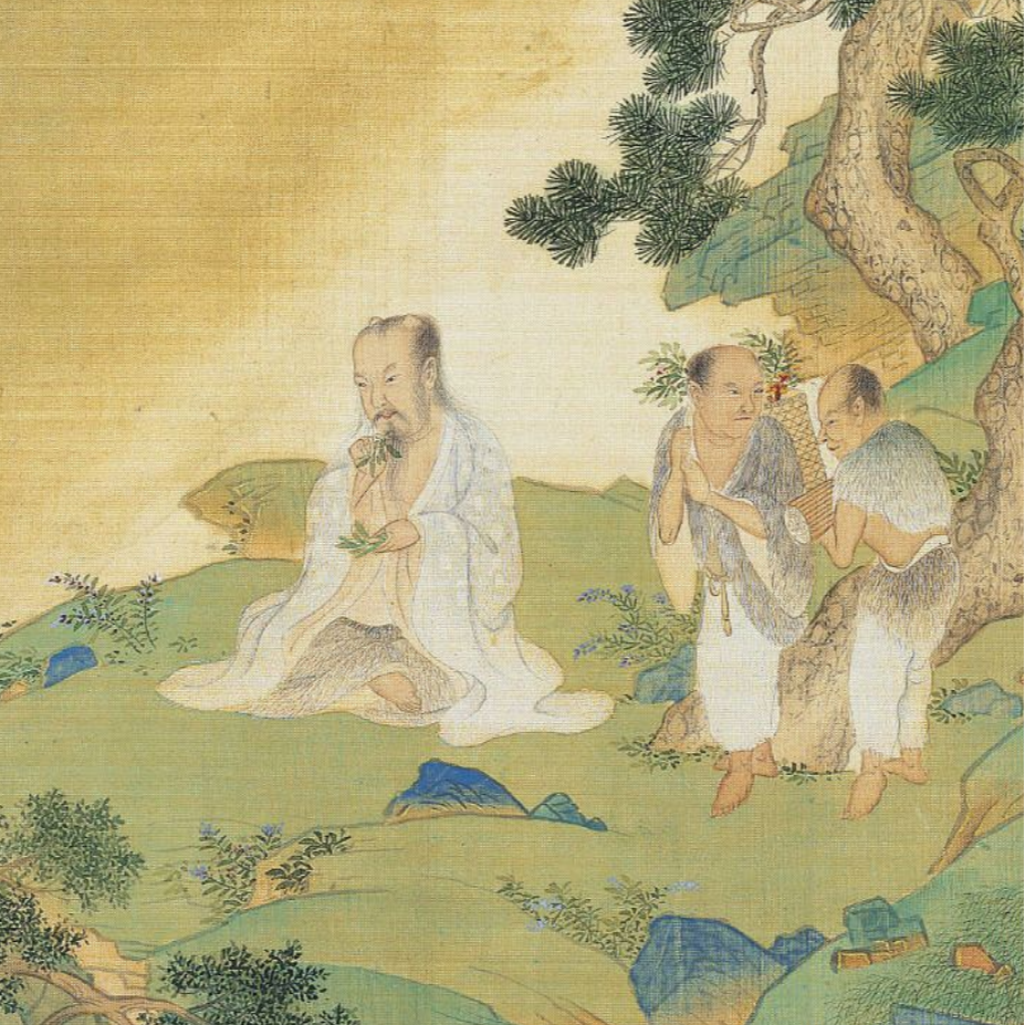105-毕读神话⑤先解决“吃饭”的问题，再解决“吃药”的问题 episode artwork
