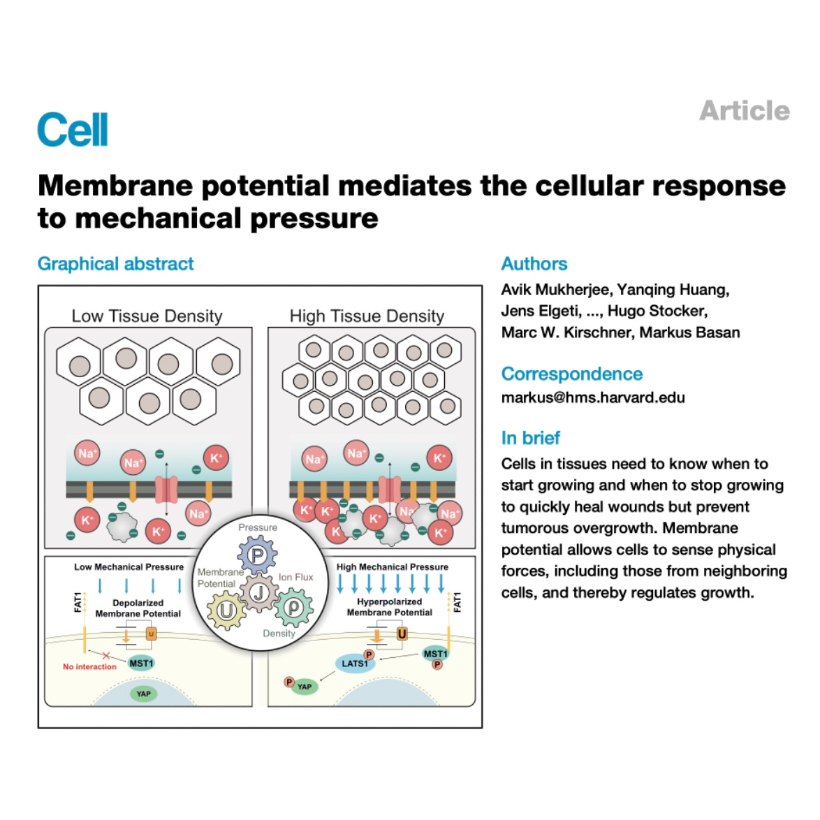 322-Sensing of Mechanical Stress Governs Tissue Growth 322-Sensing of Mechanical Stress Governs Tissue Growth