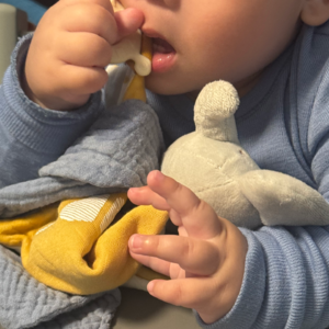 37 | 8个月独立带娃,多少得有点心得吧?!