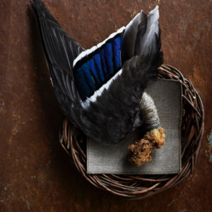 Noma，一顿1500美元的恋爱