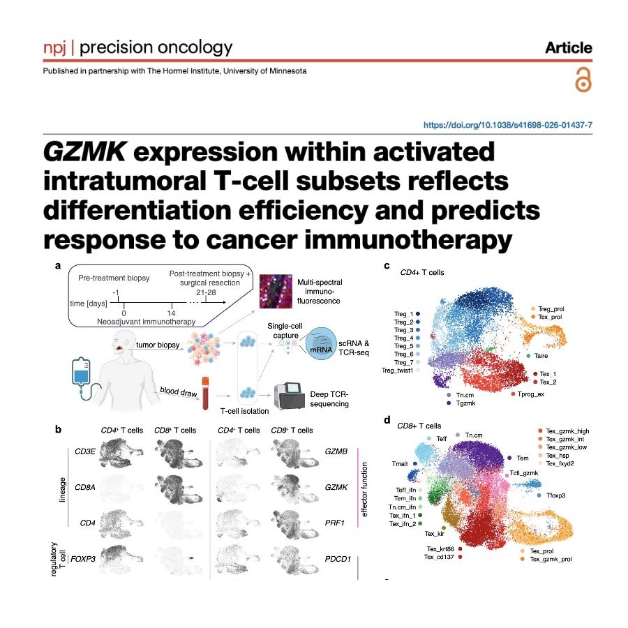 1273-GZMK+ T Cells as Biomarkers for Immunotherapy Response episode artwork
