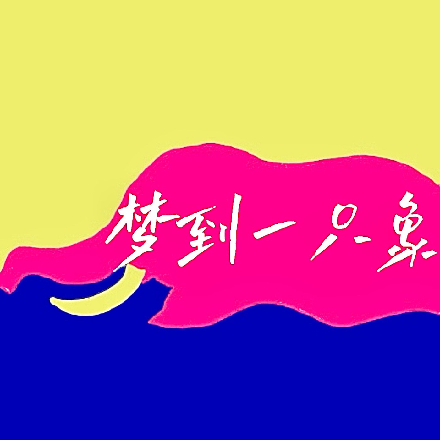 梦到一只象