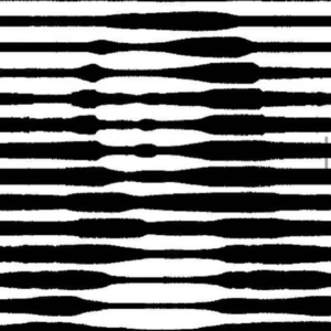 009期 距离产生美:整体和局部