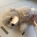 穿越拿铁海