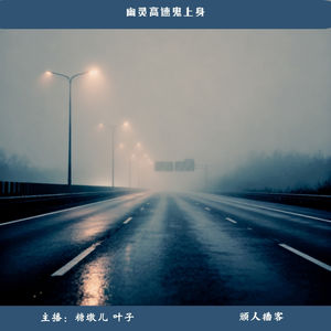 73.怪谈-中元特辑“你在多管闲事，我就找你”幽灵高速鬼上身