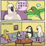 喝果汁不吃苹果