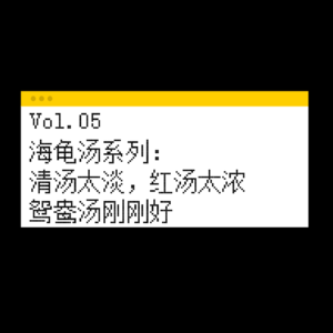 Vol.05 海龟汤系列1：清汤太淡，红汤太浓，鸳鸯汤刚刚好