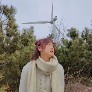 歪理星