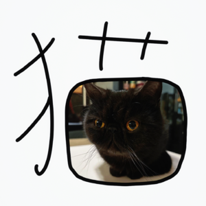 #2-家有毛孩子，你和宠物到底是哪种依恋关系？