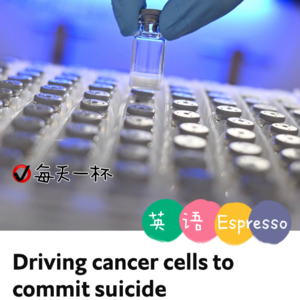 【78】诱导癌细胞自杀