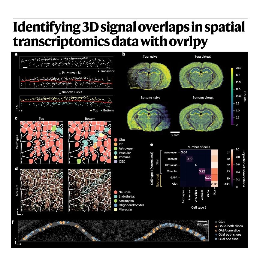754-Ovrlpy: Identifying 3D Signal Overlaps in Spatial Data episode artwork