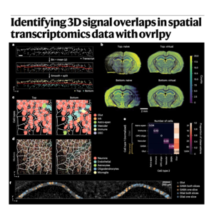 754-Ovrlpy: Identifying 3D Signal Overlaps in Spatial Data