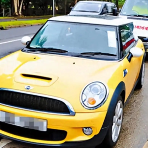 谁动了瑜伽球 香港公交站完美谋杀案