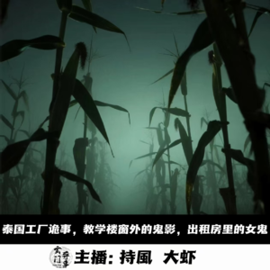 【玄門鬼話】泰国工厂诡事 ，教学楼外的鬼影，出租房里的女鬼