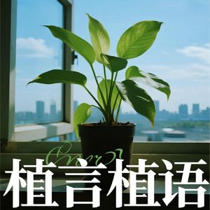 01.苔藓浇水：掌握技巧，告别黄叶与萎靡