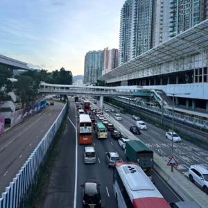 010|撒花!庆祝更10期,双月度总结来啦