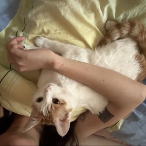 xxxx的拉