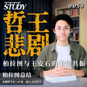 【企鹅哲学史】哲王悲剧 柏拉图与王安石的千年共振｜49 古代哲学 柏拉图总结
