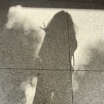 晚舟_sSiw