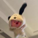 pponki