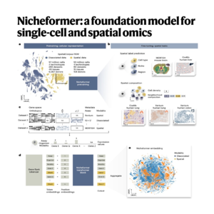 257-Nicheformer: for Single-Cell and Spatial Omics