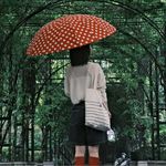 一朵菇