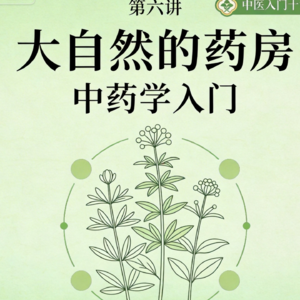 第六讲：大自然的药房——中药学入门