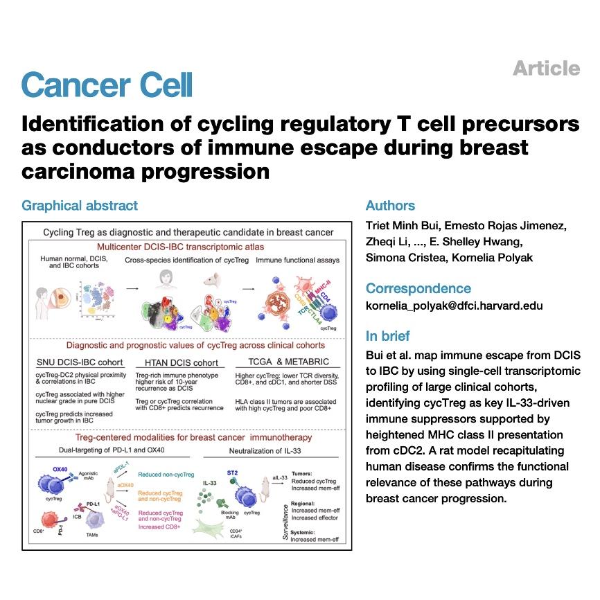 924-Cycling Treg & cDC2 for Breast Cancer Immune Escape episode artwork