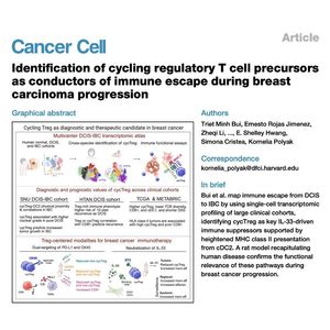 924-Cycling Treg & cDC2 for Breast Cancer Immune Escape