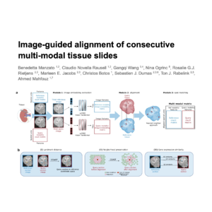 330-COAST: Image-Guided Multi-Modal Spatial Tissue Alignment