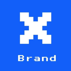 104.消费降级的年代，这4个国产品牌凭什么越卖越贵？