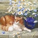 花下伏猫